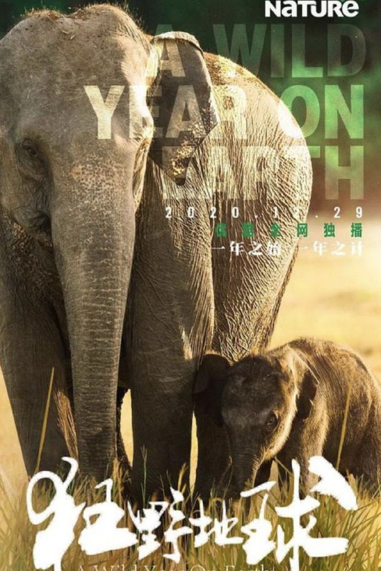 名称：狂野地球 (2020) 1080P 全集 中英外挂字幕描述：这部史诗般的六部纪录片系列，由演员罗拉·凯米歇尔讲述，带领观众踏上自然界最令人敬畏的季节性事件，包括迁移、重生和转变