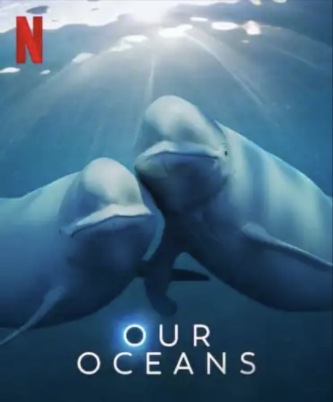 名称：我们的海洋 (2024) 1080P 中字内嵌字幕描述：海洋是我们星球的跳动之心，但仍有许多未知、未探索和未发现的
