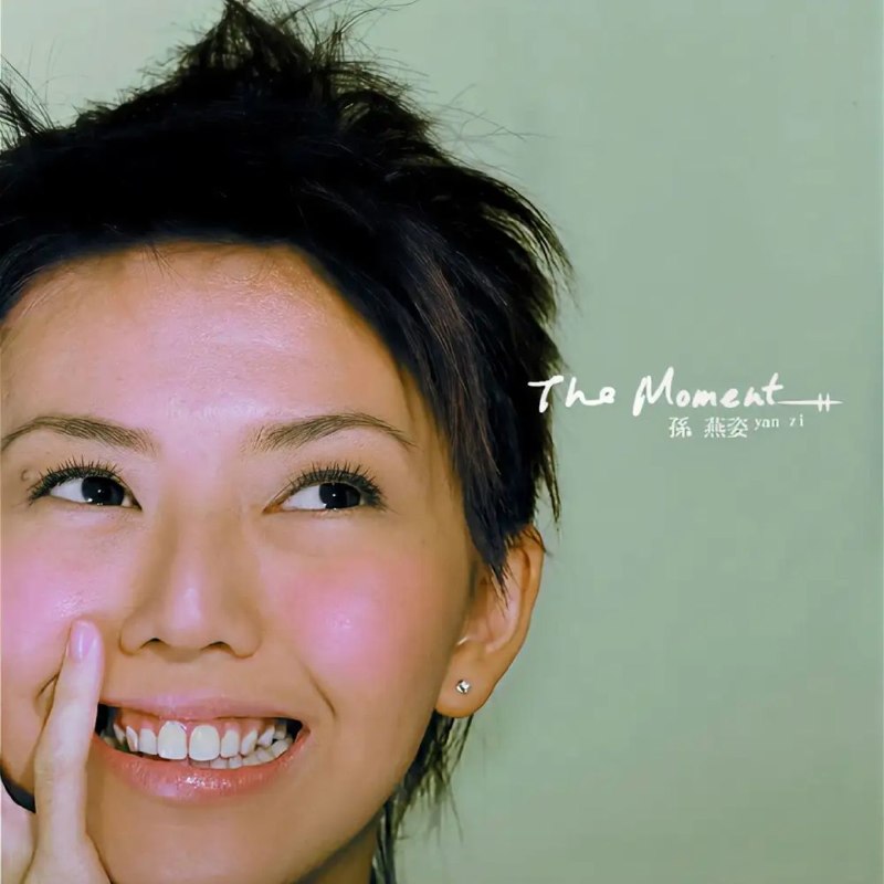 名称：孙燕姿 The Moment 2CD FLAC描述：孙燕姿2003年8月22日发行的第七张国语专辑，也是其音乐生涯第一阶段的总结之作，收录22首曲目，含7首新歌与15首出道三年精选代表作 