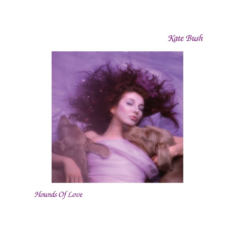 名称：Kate Bush - Hounds of Love  (Hi-Res)(1985) - FLAC描述：1985年的《Hounds of Love》被誉为Kate Bush艺术巅峰之作，而2018年由她亲自监督的重制版《Hounds of Love (2018 Remaster)》则让这张流行史的奇迹再次焕发光彩