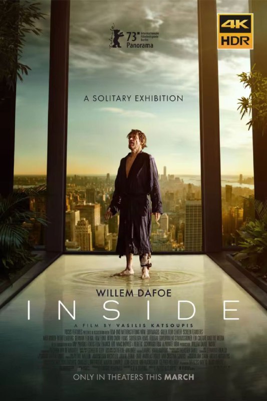 名称：笼中之鸟 (2023) 4K HDR 中字外挂字幕 描述：在一次不成功的行窃之后，艺术品大盗尼莫被困在一间纽约的高层豪宅里，被艺术珍品环绕，而他必须找到逃离这里的方法