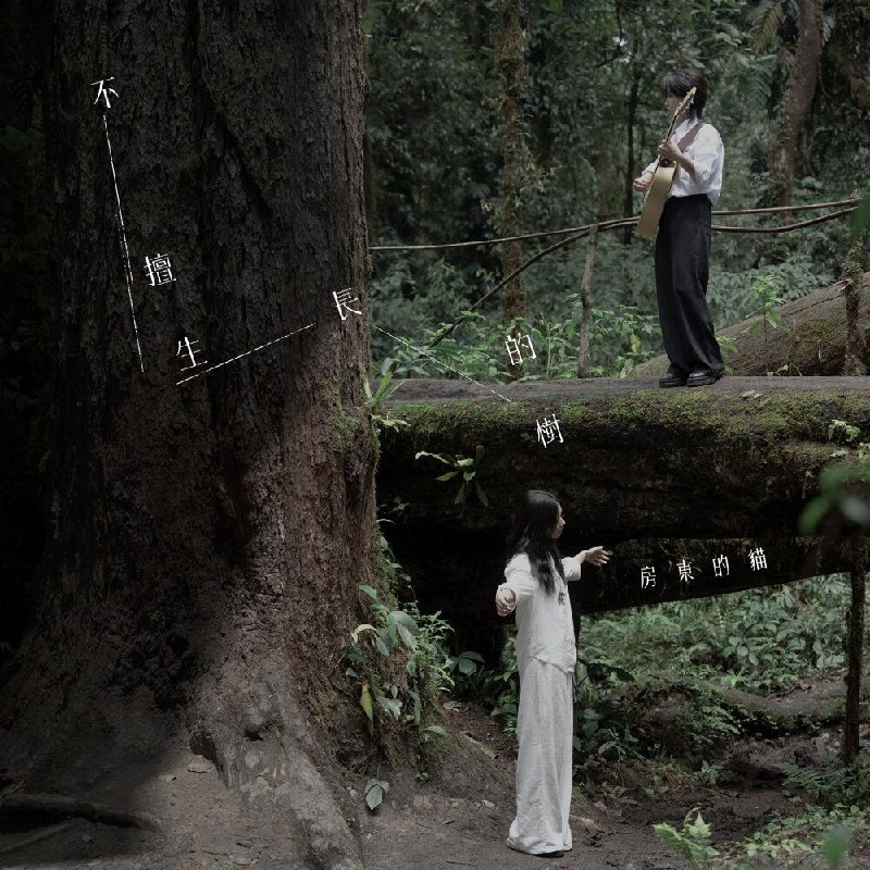 名称：房东的猫 不擅生長的樹 2026 FLAC 24bit kkbox描述：新专1. 树人的夢境 (The tree's dreamscape)2. 請對我講 (Over the wall)3. 好孤獨 (Better off lonely)4. 我們擁有一扇門嗎 (The moon)5. 她從夢中蘇醒 (She is awakening from slumber)6. 旁觀詩人 (Her portraits)夸克：