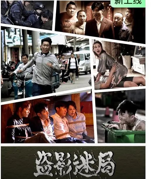名称：盗影迷局 (2026)描述：为了挣更多的钱护理瘫痪母亲，陈建业误信石道宽卷入一场盗窃案