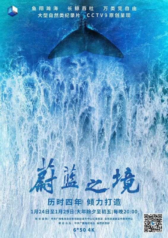 名称：蔚蓝之境 (2020)描述：《蔚蓝之境》是中国的纪录片团队第一次以自然纪录片的方式，全面、系统地拍摄海洋的故事，也是迄今为止我国规模最大、范围最广、内容最为全面的海洋拍摄行动