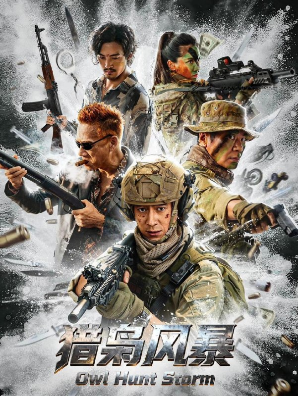 名称：猎枭风暴 (2026)描述：一奶同胞的兄弟洪达和洪宇同属于卡尼亚军方的秘密猎毒小队，在执行东南亚边境扫毒任务时，被狡猾的大毒枭贡泰偷袭，即将成为父亲的洪达为掩护弟弟洪宇牺牲，洪宇背负巨大的创痛回到家中，无法面对一对孤儿寡母，加盟新组建的独狼小队，重返边境为哥哥报仇