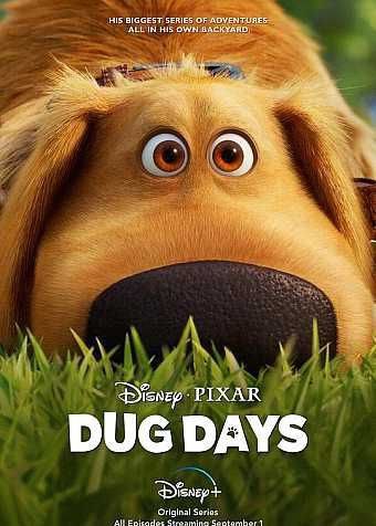 名称：小逗的日子 (2021) 4K HDR 中字内嵌字幕描述：该剧是皮克斯《飞屋环游记》衍生剧集，讲述狗狗小逗发现了郊区的危险因素，比如小狗、烟花还有松鼠