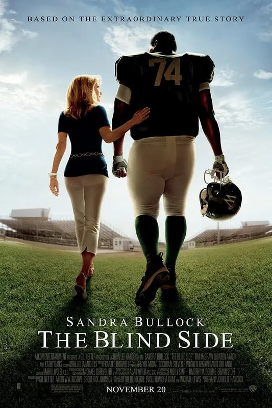 名称：弱点 The Blind Side (2009)描述：黑人男孩奥赫（昆东•亚伦 Quinton Aaron 饰）自幼父母离异，无家可归