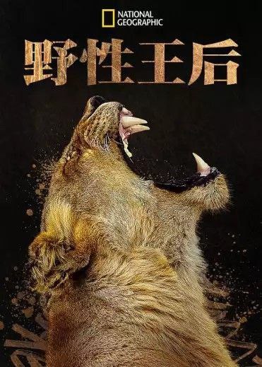 名称：野性王后 (2024) 4K 中字内嵌字幕描述：探索了阿拉斯加、墨西哥、中美洲和非洲，引人入胜地聚焦并庆祝自然界中的动物母系社会和女性领导者