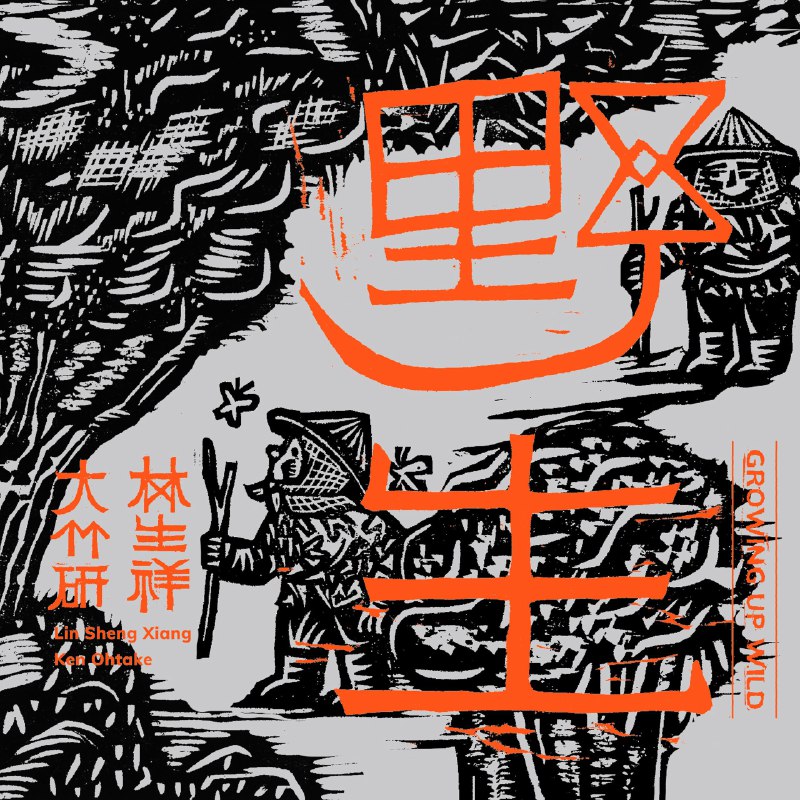 名称：林生祥 & Ken Ohtake - 野生 Growing up Wild (2025 Remastered) ALAC Hi-Res 24bit 88kHz)描述：2025年9月23日发行，为2009年经典专辑的重制版本，由林生祥、钟永丰、钟适芳联合制作，大竹研参与编曲与演奏，Wolfgang Obrecht负责录音混音 