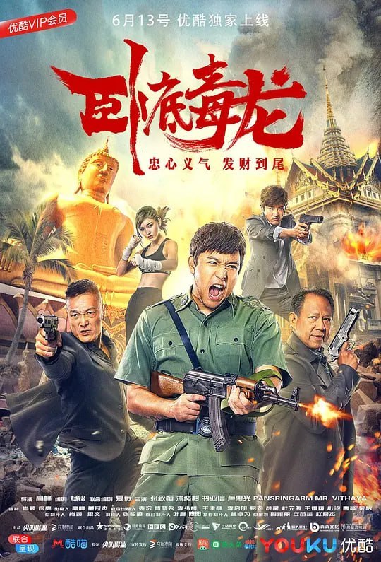 名称：卧底毒龙 (2018)描述：以卧底警察徐家宝（张致恒饰），受命前往泰国调查跨国贩毒案件，意外结识被黑帮追杀的古惑仔龙少（书亚信饰），混乱之下徐家宝救下了龙少