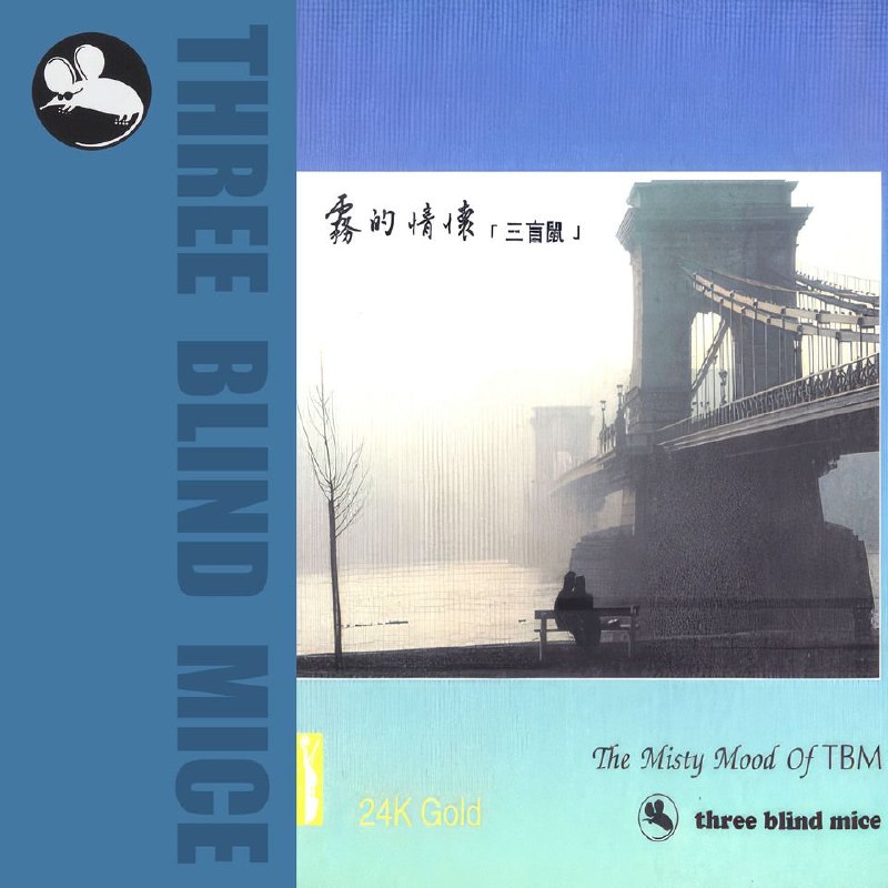 名称：群星 Various Artists - The Misty Mood of TBM描述：本辑精选日本传奇爵士厂牌TBM三盲鼠历年典藏曲目，集结山本刚、铃木勋、细川绫子等一众殿堂级乐手名作 