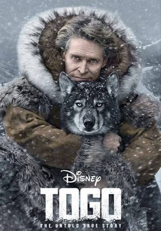 名称：多哥 (2019) 4K HDR 中字外挂字幕描述：该片根据真实故事改编，讲述1925年，为拯救阿拉斯加的孩子们的性命，雪橇高手里昂哈德·瑟帕拉与他的雪橇犬多哥运送血清的故事