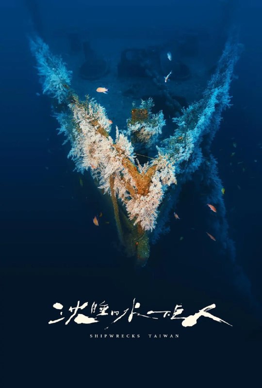 名称：沉睡的水下巨人 沈睡的水下巨人 (2024)描述：《沉睡的水下巨人》是台湾第一部以「海洋沈船生态」为题的纪录片，全剧共有八集，耗时2年、横跨台湾7大海域：兰屿、绿岛、小琉球、澎湖、东北角、垦丁及澎湖，以最高规格8K/120fps/RAW，拍摄总共8艘巨型沉船的故事