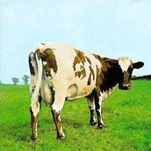 名称：Pink Floyd - 1970年SACD系列 - Atom Heart Mother   DSD128 DSF描述：《Atom Heart Mother》是英国前卫摇滚乐队 Pink Floyd 的第五张录音室专辑