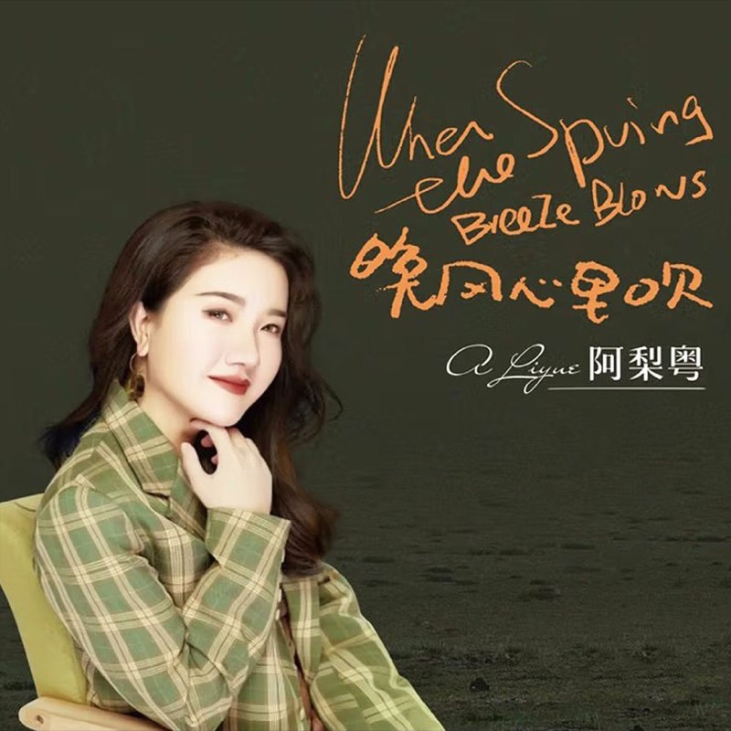 名称：阿梨粤《晚风心里吹》纯银限量钉制版 低速原抓WAV+CUE描述：《晚风心里吹》是阿梨粤的代表作专辑，收录同名爆款粤语单曲，于2022年3月携手索尼音乐、好乐无荒发行