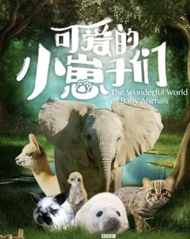 名称：可爱的小崽子们 (2019) 1080P 全集 中英硬字幕描述：可爱的小刺猬、好奇的企鹅雏鸟、有趣的海豹幼崽，这部纪录片将把镜头对准这些新生动物生命中最重要、最具实验性的几个月吧，他们将经历考验、磨难最终获得胜利