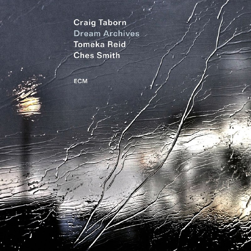 名称：Craig Taborn Dream Archives FLAC Hi-Res 描述：《Dream Archives》是2026年ECM Records发行的当代爵士佳作，由钢琴家Craig Taborn（2025年麦克阿瑟奖得主）与大提琴家Tomeka Reid、鼓手/颤音琴演奏家Ches Smith组成的三重奏打造