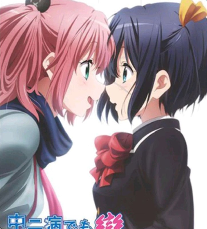 名称：中二病也要谈恋爱 2季全 1080P + 剧场 中字外挂字幕描述：顺利升入高中的少年富樫勇太（福山润 配音）在初中时代曾是暗黑系的中二病患者，当年他自称黑炎之主人，自我感觉良好地度过了无厘头的中学生活
