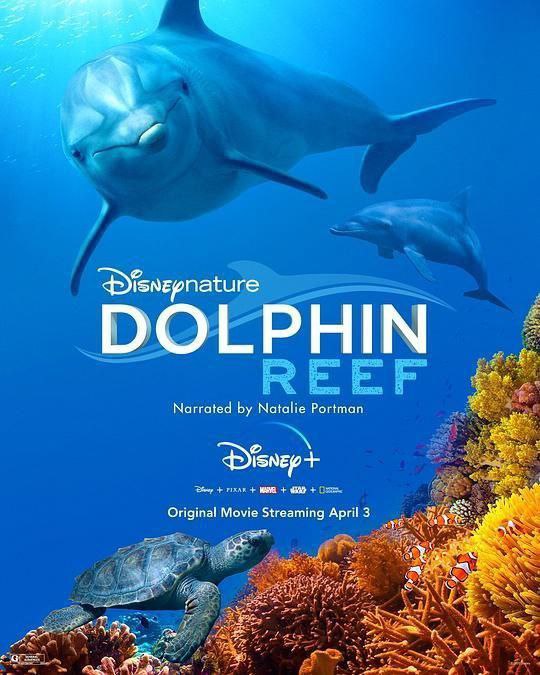 名称：海豚礁 (2020) 4K HDR 中英外挂字幕描述：Dolphin Reef （暂译《海豚礁》）将由《雷神》、《雷神2》主演娜塔莉·波特曼配音