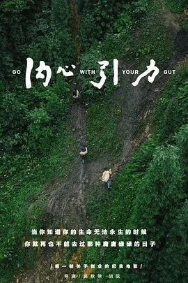 名称：内心引力 (2017) 4K描述：这部纪实电影围绕“永不违背内心”的主题，通过2年的跟踪拍摄，讲述了7位国内独立品牌创始人关于生活、关于创业、关于挣扎的故事