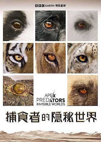 名称：捕食者的隐秘世界 (2024) 4K 高码 全集 国英多音轨 中英硬字幕描述：每集聚焦一个动物家族，纪录了自然界中23种捕猎者令人惊叹的超凡本领