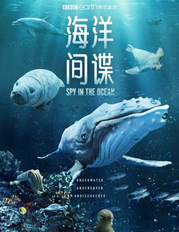 名称：海洋间谍 (2023) 1080P 全集 中字硬字幕描述：这一次，间谍相机带着当今最尖端的拍摄技术，前往海洋深处，迎接它们迄今为止最激动人心的挑战，探索地球上最神奇且最具活力的环境之一，海洋