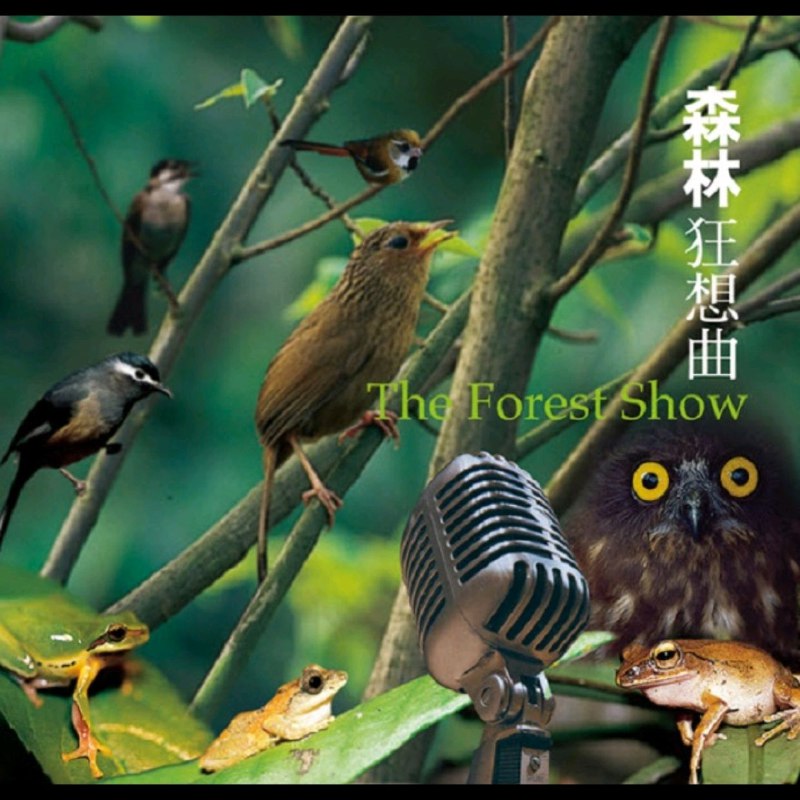 名称：吴金黛徐清原《森林狂想曲  大自然音乐 风潮 WAV 分轨描述：《森林狂想曲》是聚焦台湾自然风貌打造的标杆之作，耗时五年走访台湾山林宝地录音，由留美自然录音专家与金曲奖制作团队联手操刀