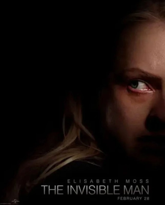 名称：隐形人 (2020) 4K HDR 中字外挂字幕描述：《隐形人》是由美国环球影业出品的惊悚片，改编自英国作家赫伯特·乔治·威尔斯1897年的科幻小说以及1933年的同名电影