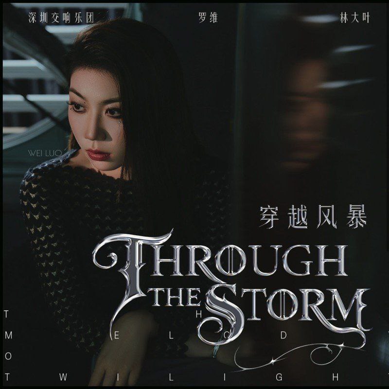 名称：罗维 深圳交响乐团 Hi–Res 96kHz 24bit 描述：钢琴家罗维的最新力作《穿越风暴》，与指挥家林大叶携手合作，演奏深沉交响乐作品，全新演绎普罗科菲耶夫与拉赫玛尼诺夫的四部钢琴协奏曲